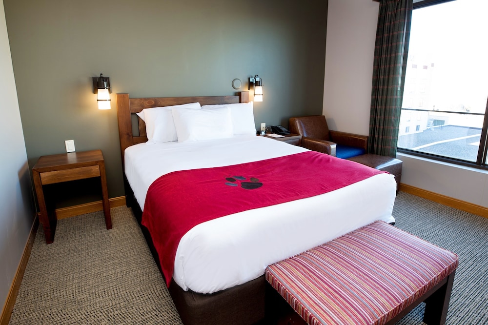 Queen Cabin Suite (Water Park Included) photo 3
