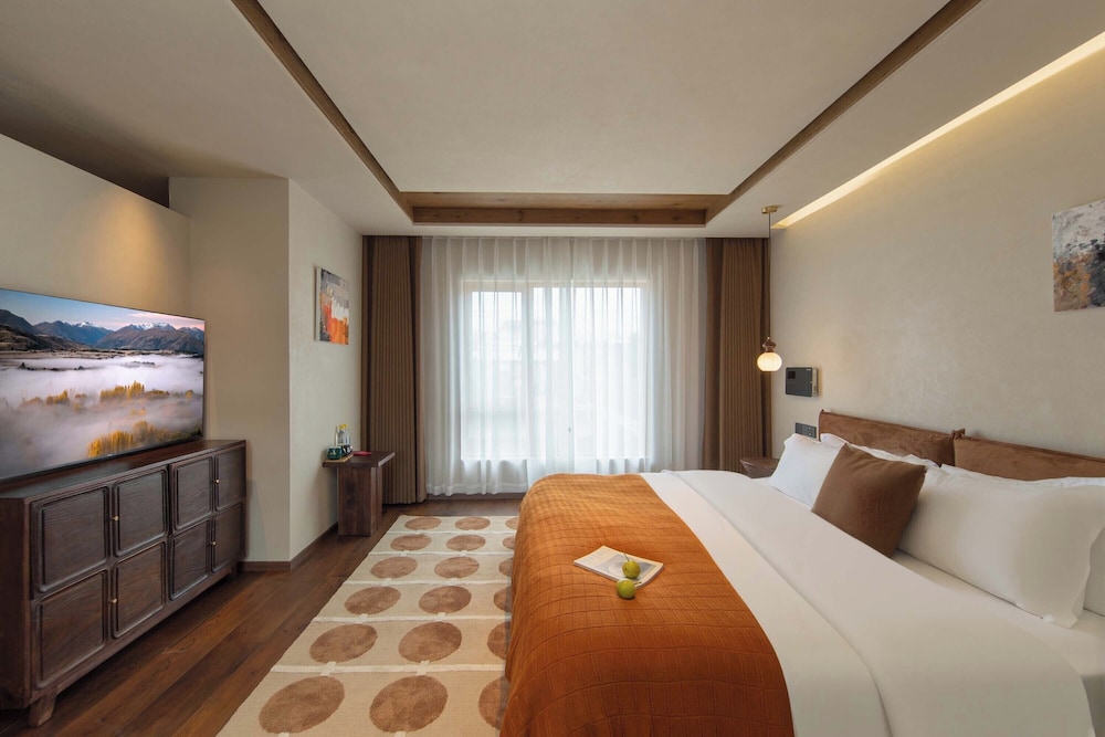 Business Double Room, Hill View
