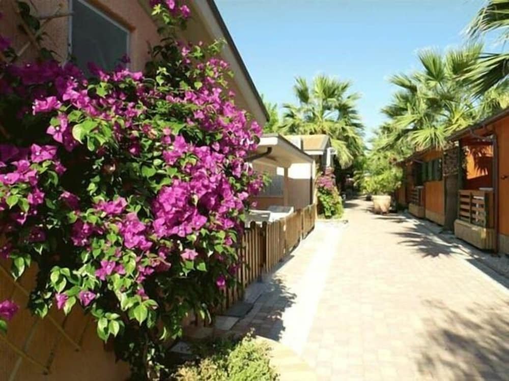 Mobile Home, 2 Bedrooms (Luisa bis) photo 2