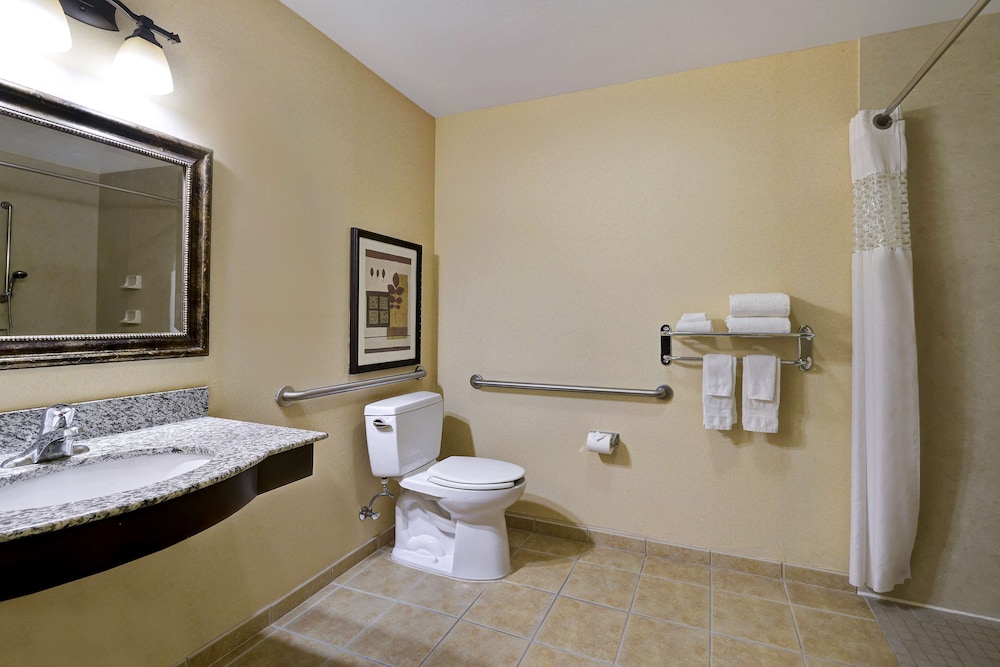 Studio, 1 King Bed, Accessible (Roll-In Shower)