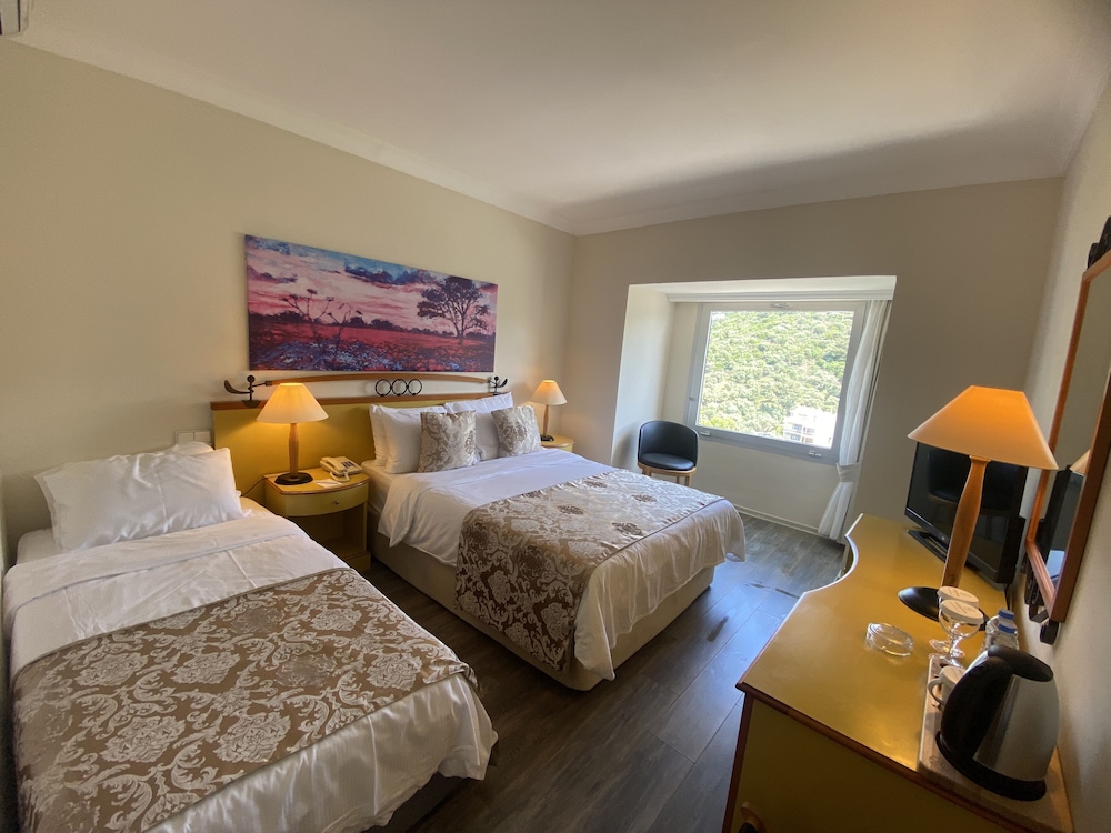 Comfort Room, Non Smoking, Mountain View photo 1