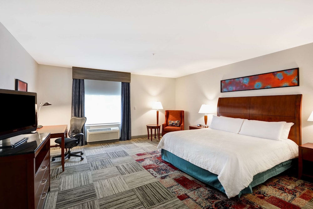 Room, 1 King Bed, Accessible - Photo 4