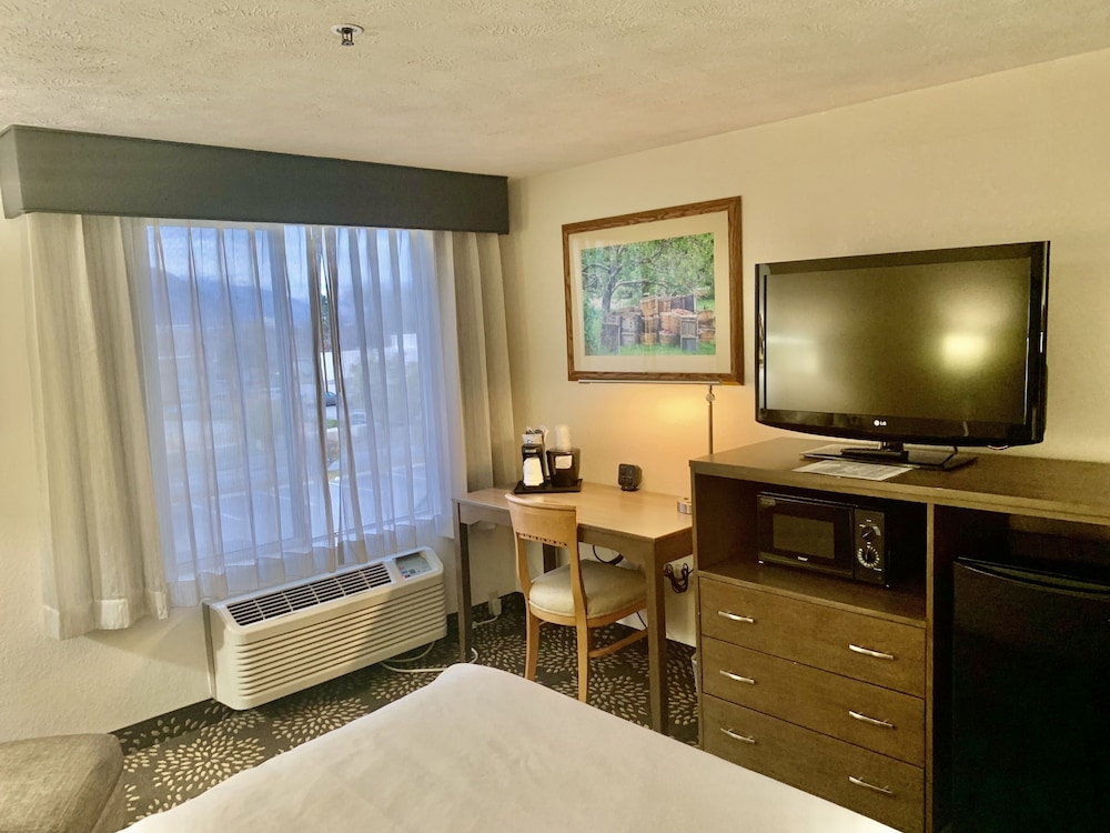 Suite, 1 King Bed with Sofa bed, Non Smoking - Photo 1