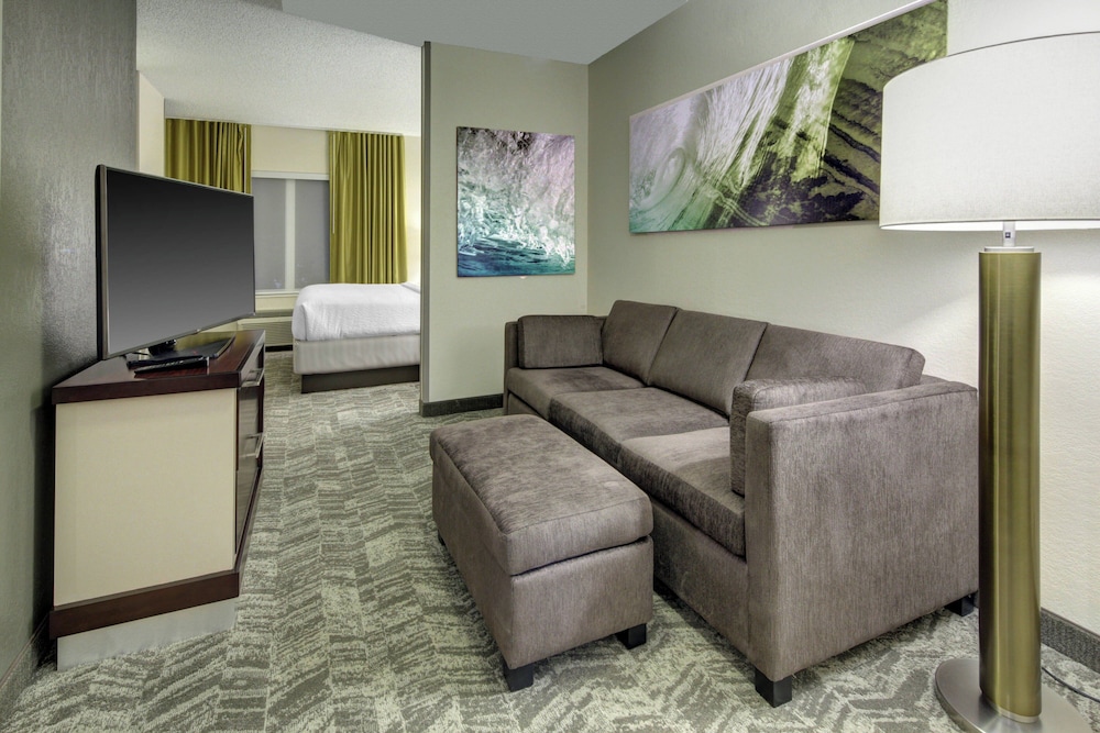Suite, 1 King Bed with Sofa bed - Photo 3