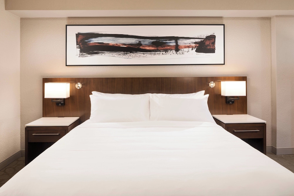 Executive Room, 1 King Bed with Sofa bed (Hearing Accessible) photo 1