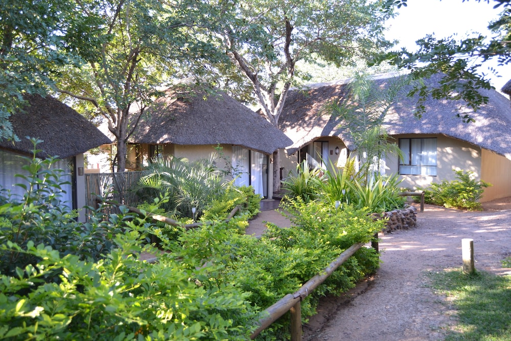 Traditional Single Room, 1 Bedroom, Accessible, Courtyard View photo 3