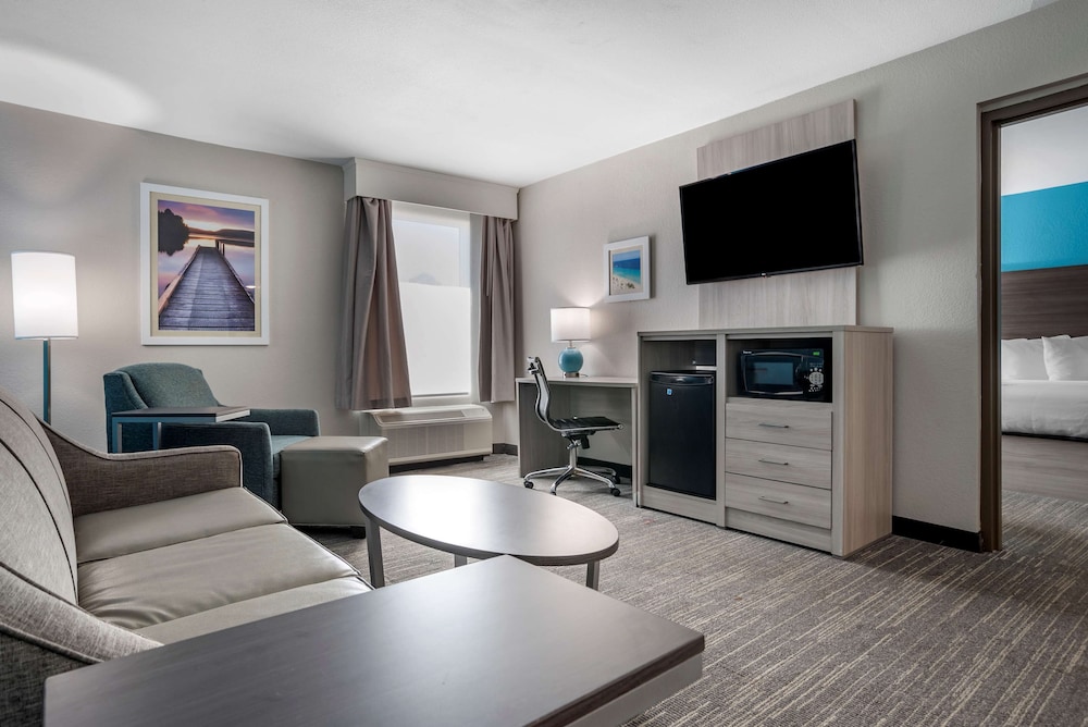 Suite, 1 King Bed, Non Smoking, Refrigerator & Microwave (with Sofabed)