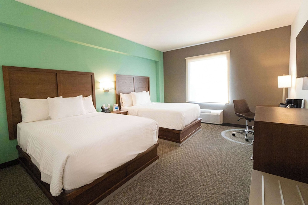 Executive Room, 2 Double Beds, Non Smoking photo 1