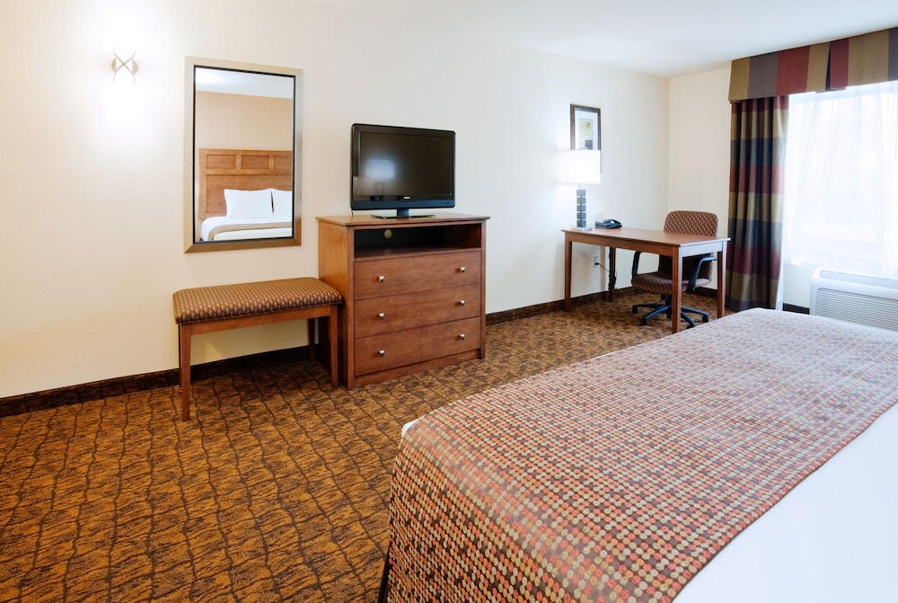 Standard Room, 1 King Bed, Accessible (Comm, Mobility, Roll Shwr) - Photo 2