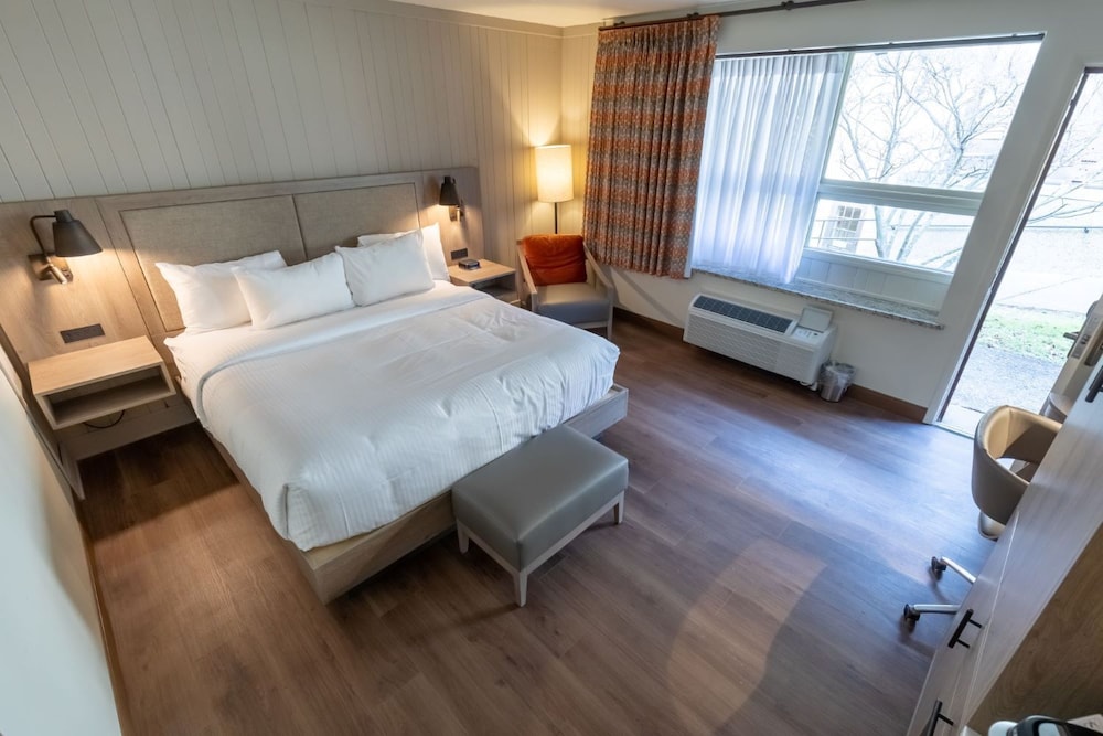 Premier Room, 1 King Bed
