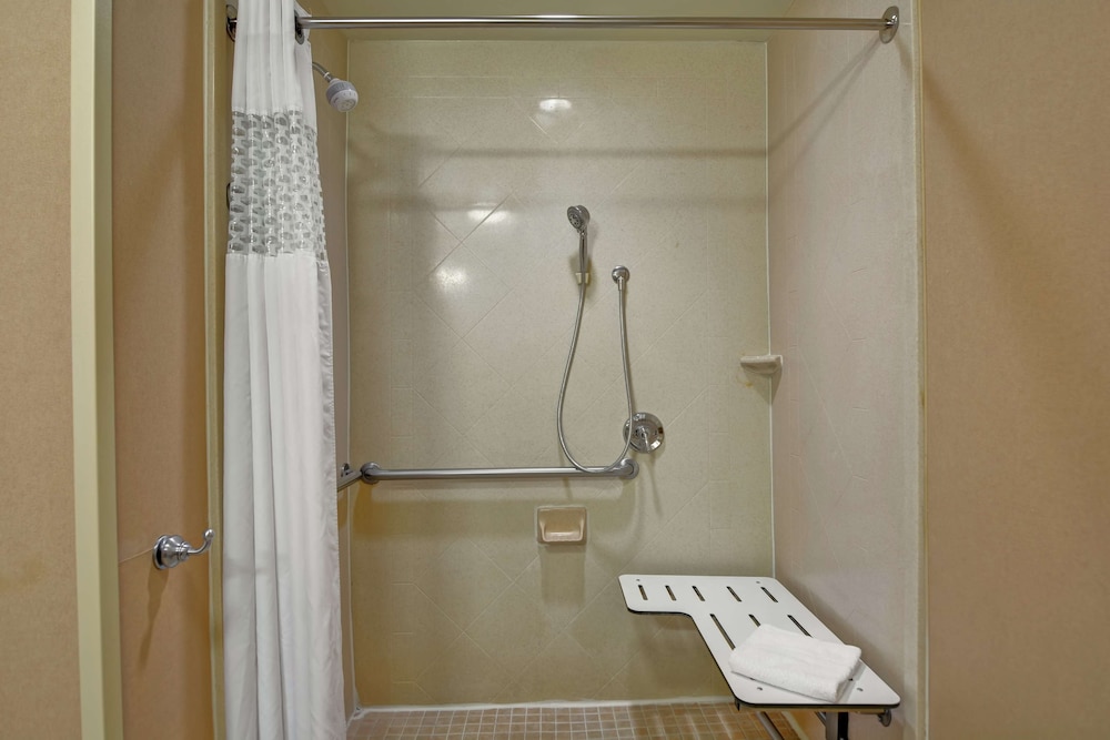 Studio, 1 King Bed, Accessible (Roll-In Shower) - Photo 7