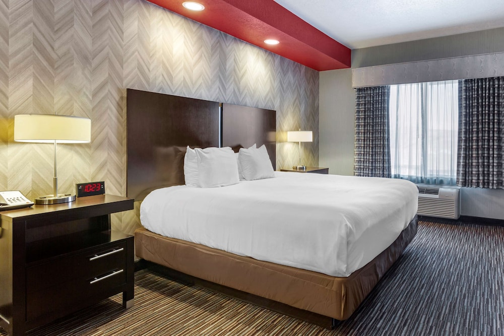 Standard Room, 1 King Bed, Accessible, Non Smoking