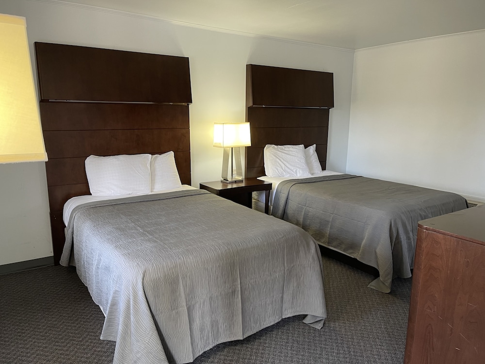 Basic Double Room