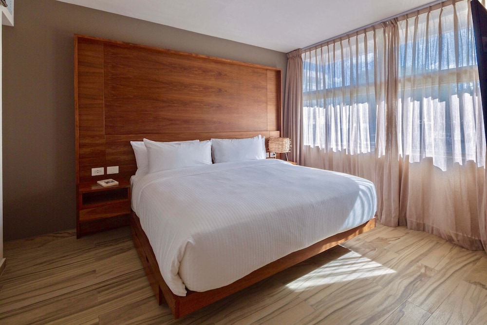 Classic Suite, 1 King Bed