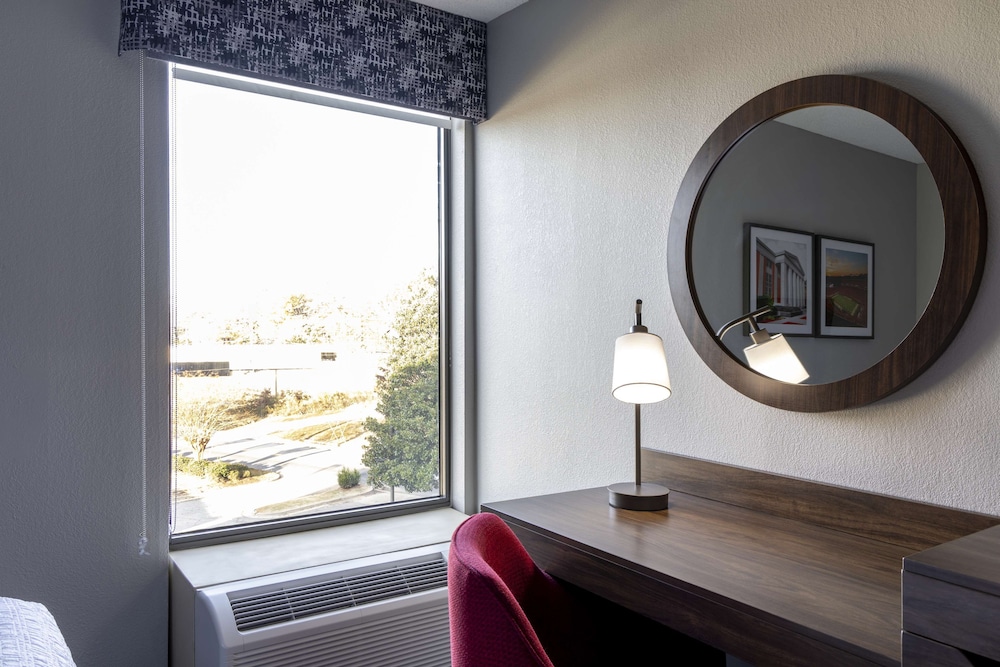 Suite, 1 King Bed, Accessible (Step-In Shower) photo 3