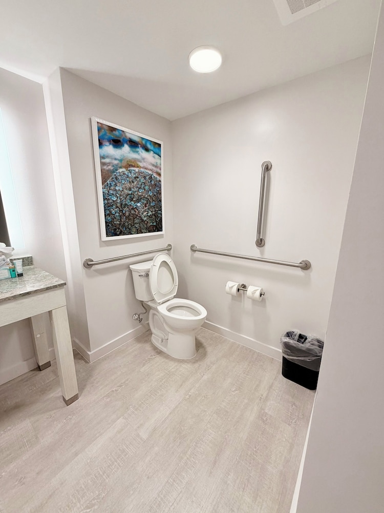 Room, 1 King Bed, Mobility Accessible, City View (ADA bathtub, No balcony) - Photo 3