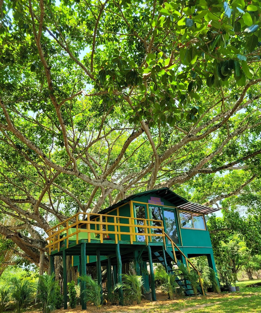 Deluxe Tree House, Balcony, River View photo 3