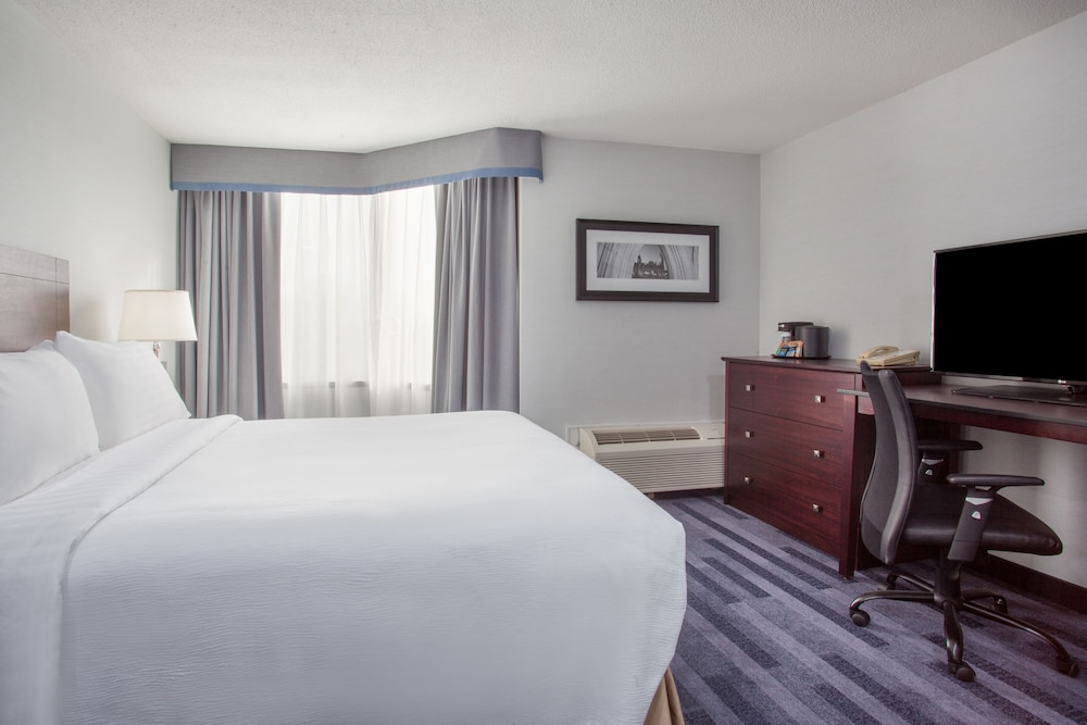 Suite, 1 Bedroom