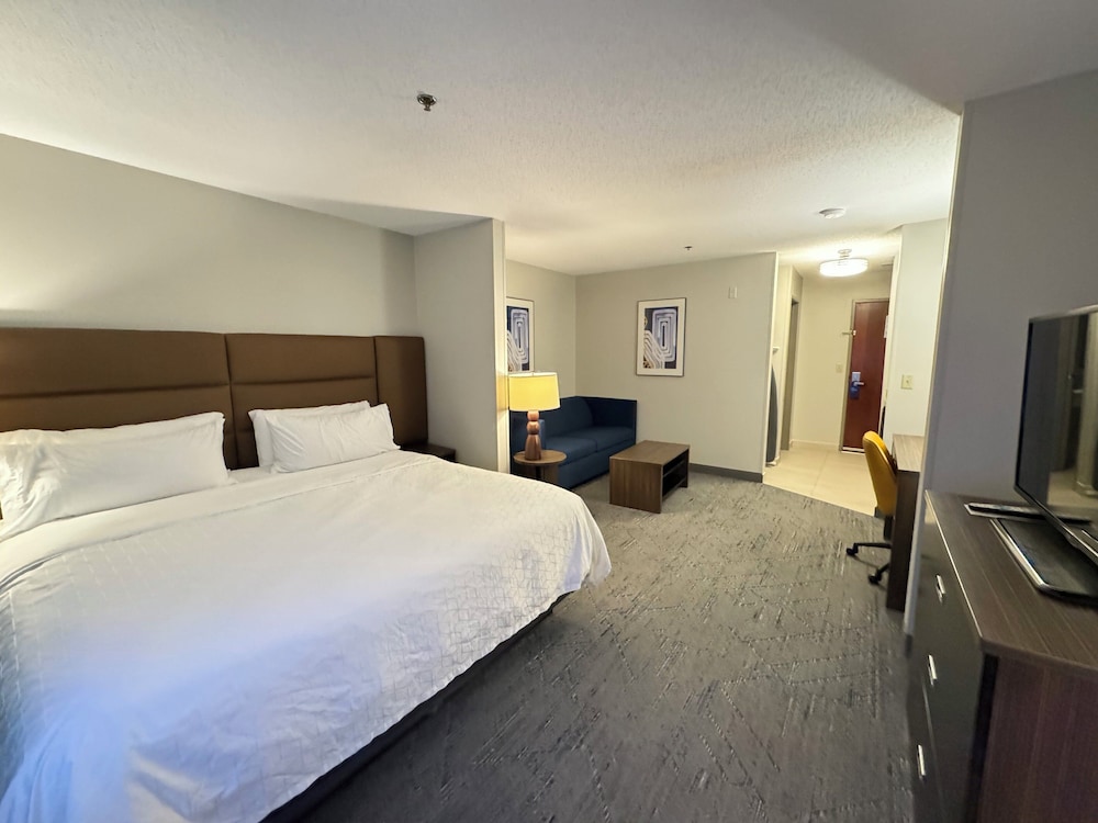 Suite, 1 King Bed - Photo 9