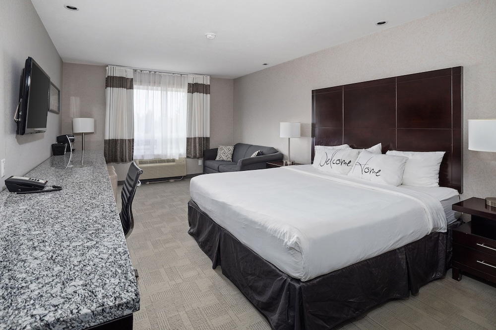 Standard Room, 1 King Bed with Sofa bed photo 1
