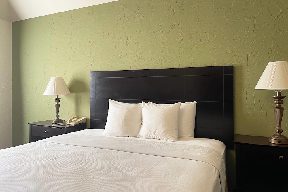 Junior Suite, 1 King Bed, Non Smoking - Photo 1