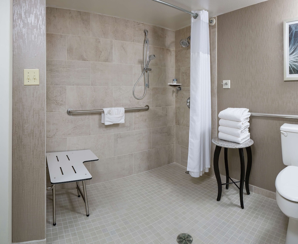 Room, 1 King Bed, Accessible, Balcony (Roll In Shower) - Photo 3