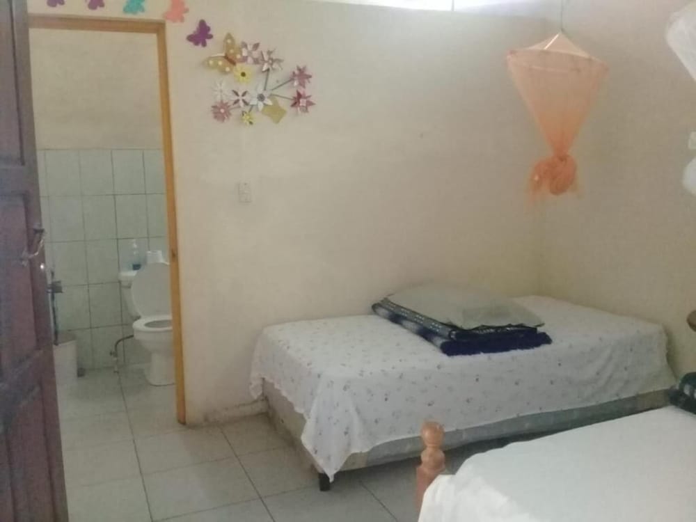 Basic Twin Room photo 2