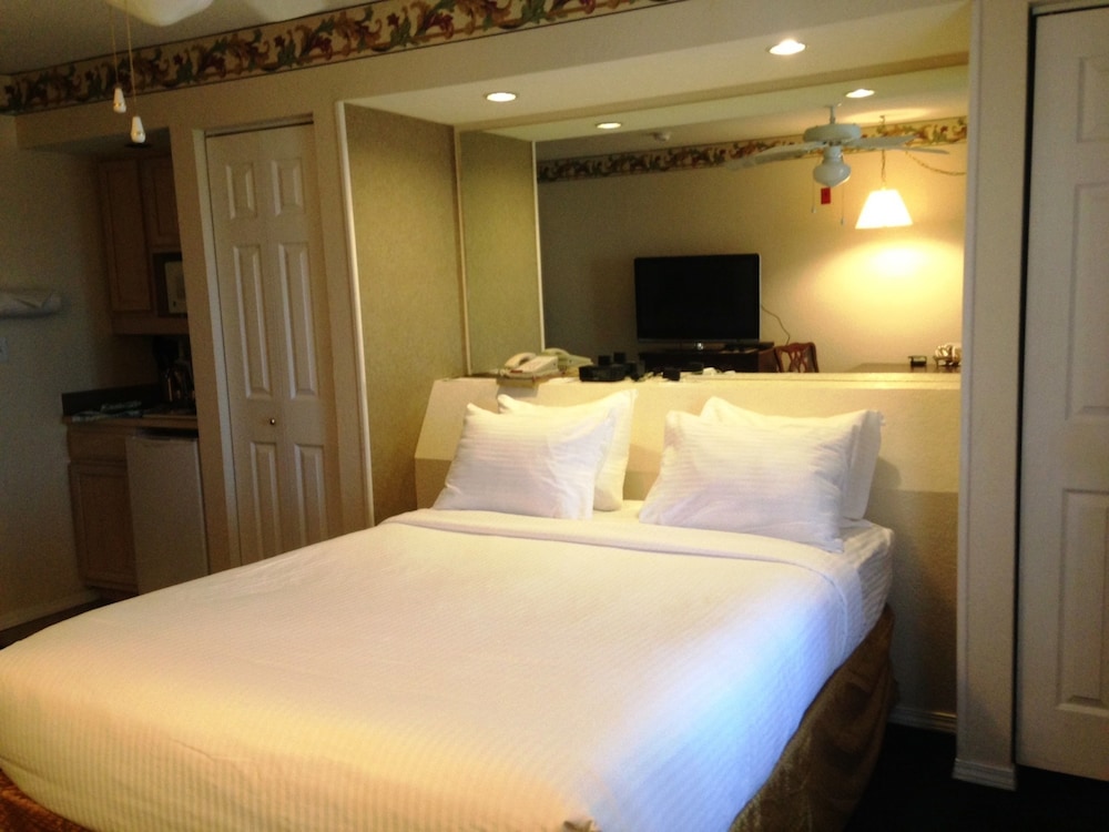 Studio, 1 Queen Bed - Photo 3
