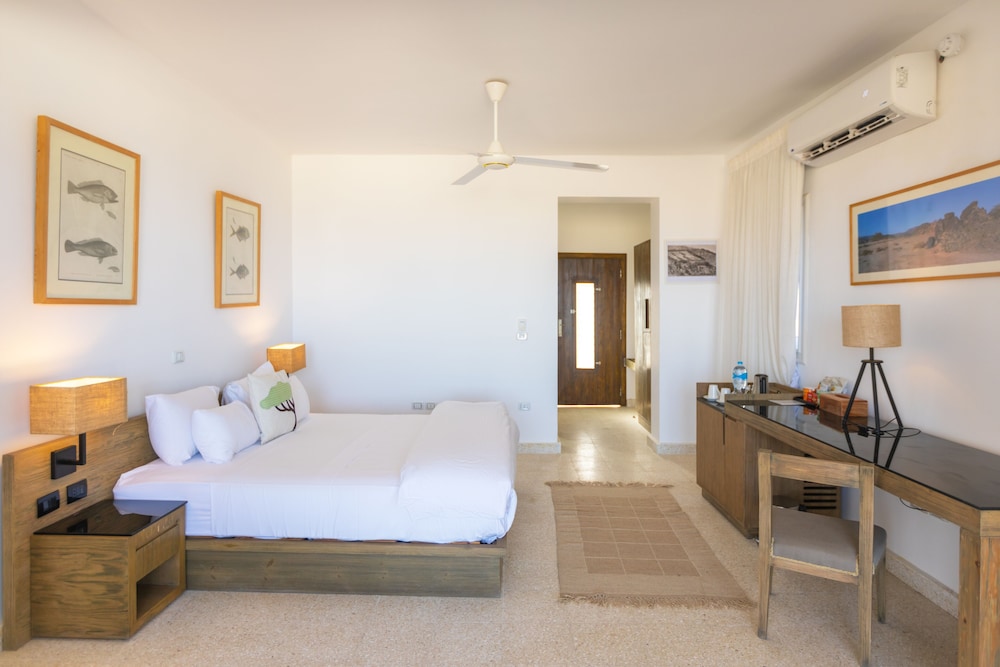 Superior Double Room - Photo 8