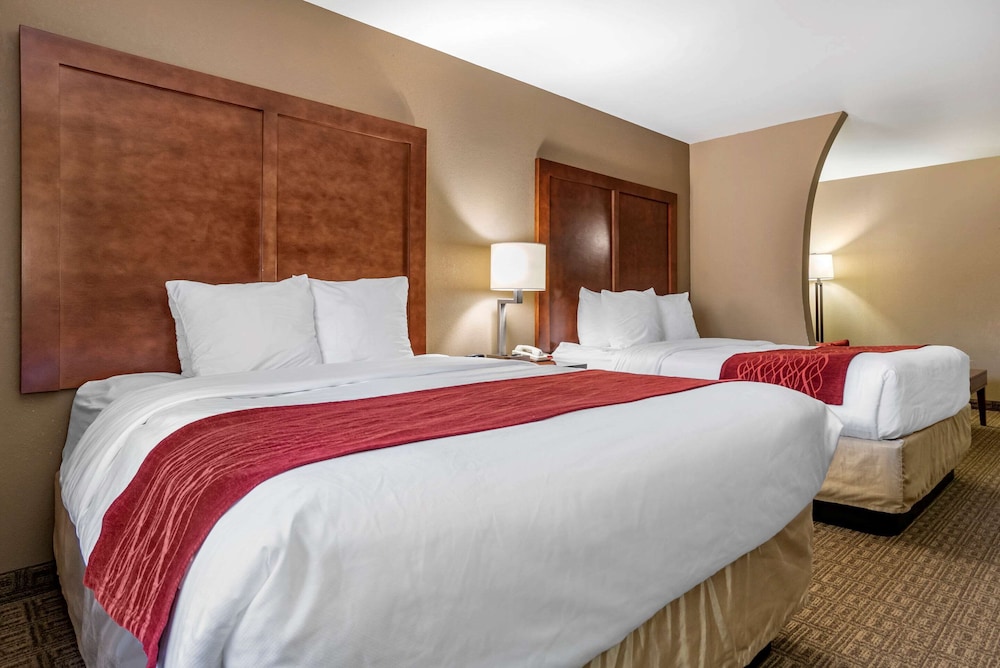 Suite (Double Queen) - Photo 4