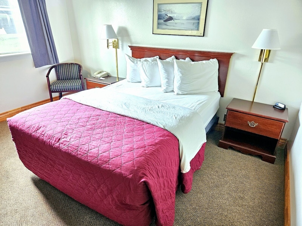Economy Single Room photo 1