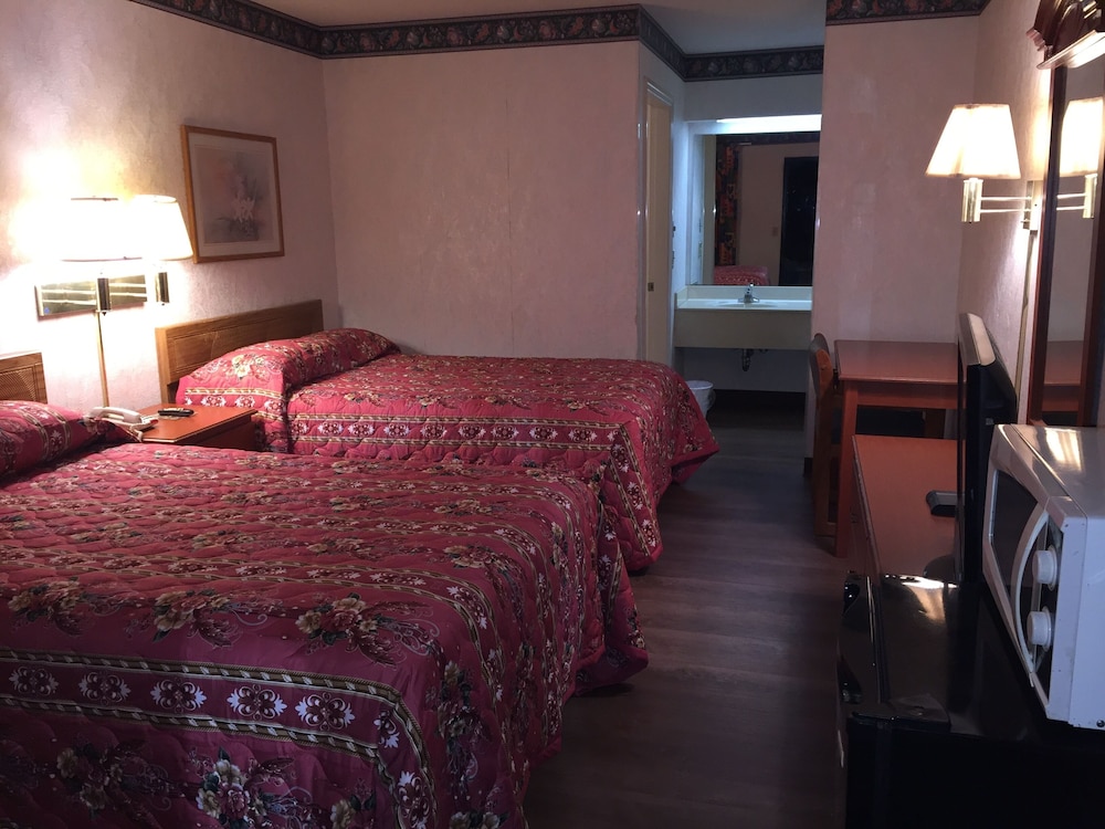 Standard Studio, 2 Double Beds photo 3