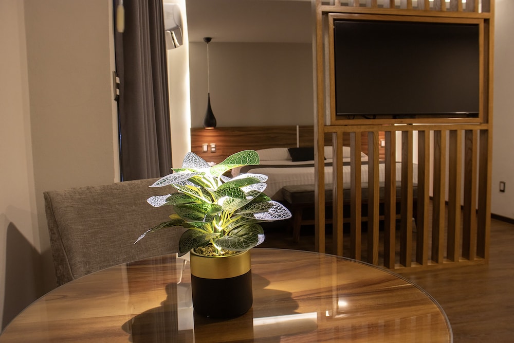 Junior Studio Suite, City View photo 2