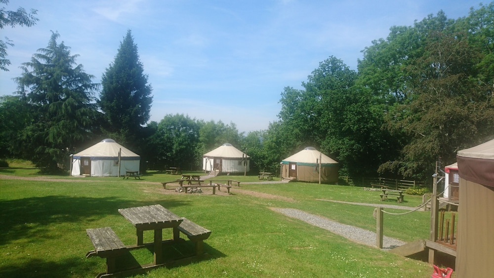 Large Village Yurt photo 2