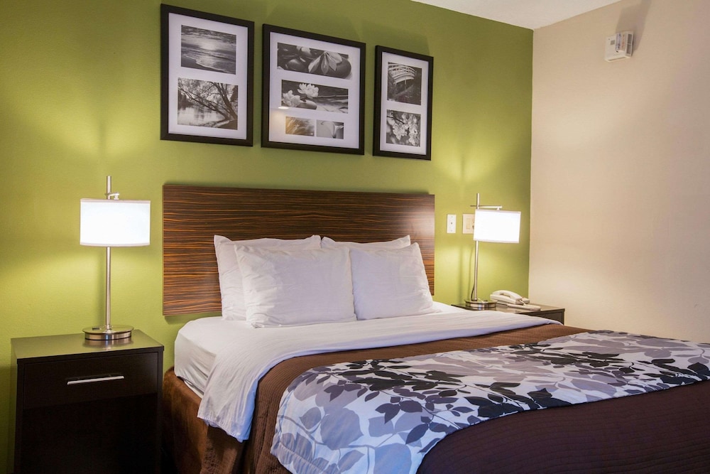 Standard Room, 1 King Bed, Non Smoking - Photo 1