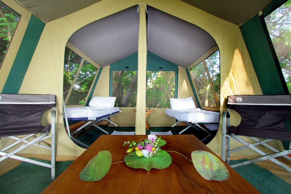 Premium Tent, 4 Bedrooms photo 1