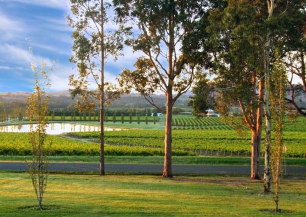 Vineyard View Room - Photo 5