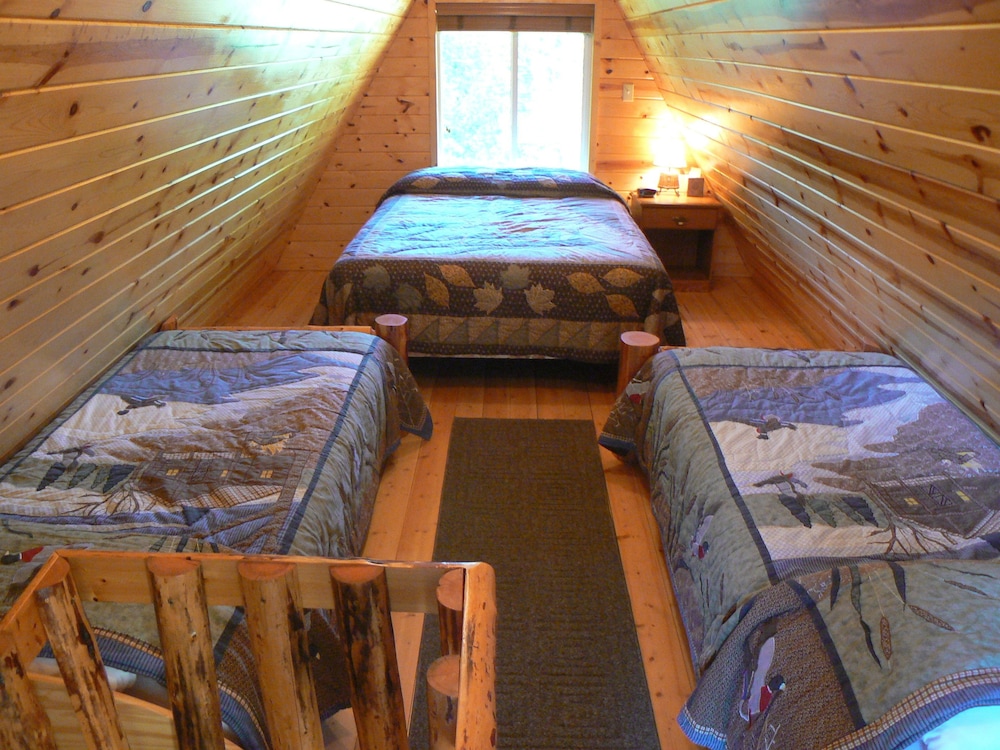Cabin, Multiple Beds (Little Bear) photo 1
