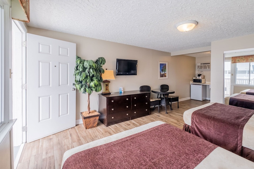 Family Single Room photo 1