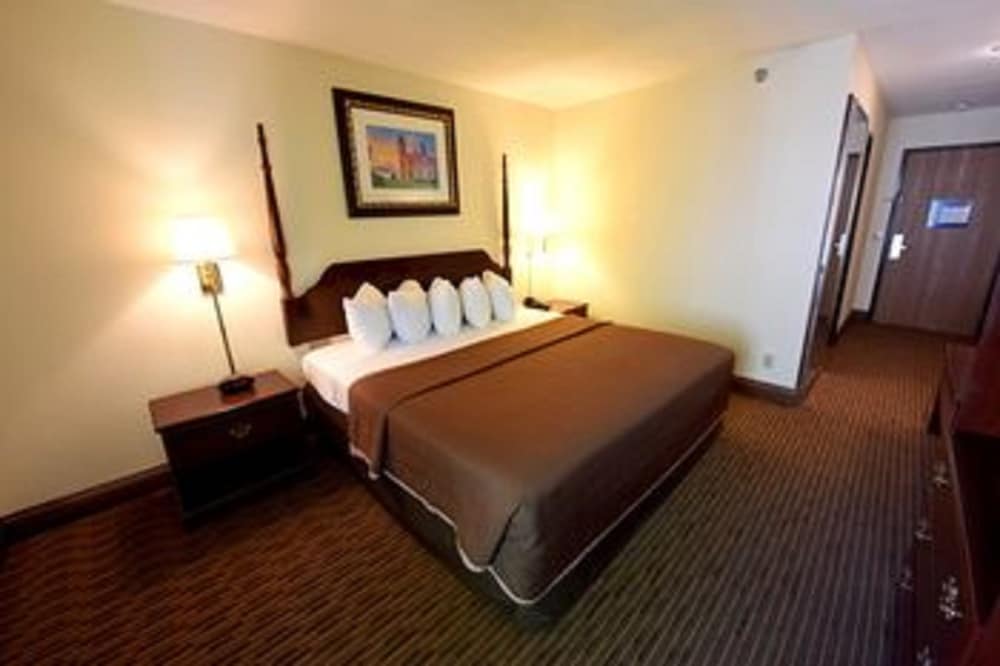 Deluxe Room, 1 King Bed, Lake View photo 3