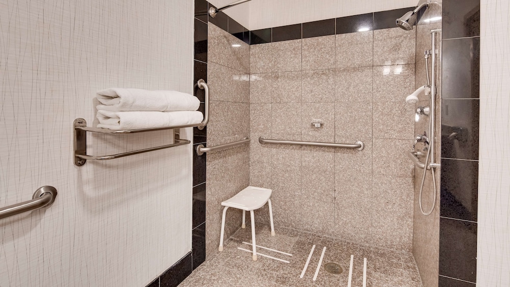 Standard Room, 1 King Bed, Accessible, Non Smoking (Walk-in Shower)