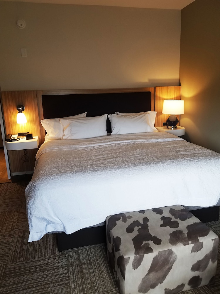 Room, 1 King Bed, Accessible (Roll-in Shower) photo 2