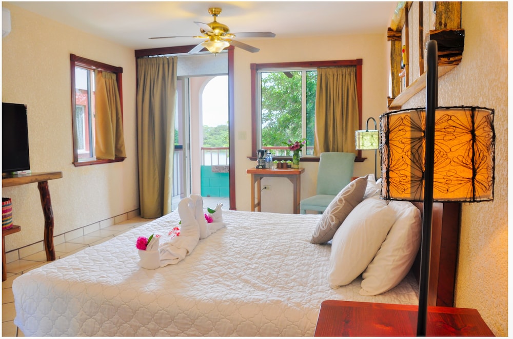 Premium Room, 1 King Bed, River View photo 1