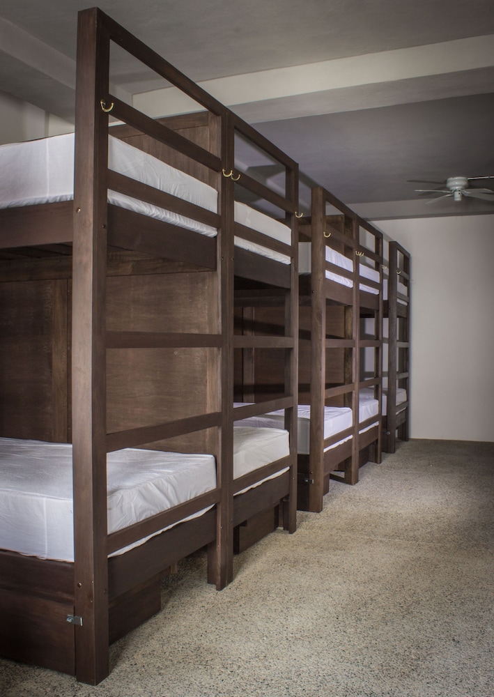Traditional Shared Dormitory (Bunk Bed Style) photo 3