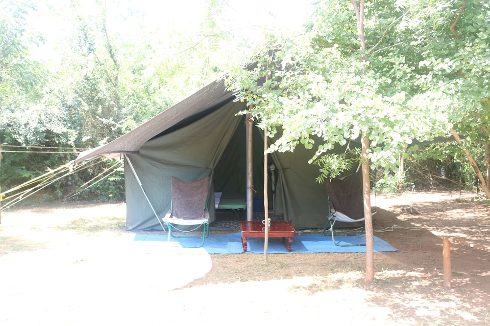 Classic Tent, 2 Twin Beds, Garden View, Garden Area photo 1