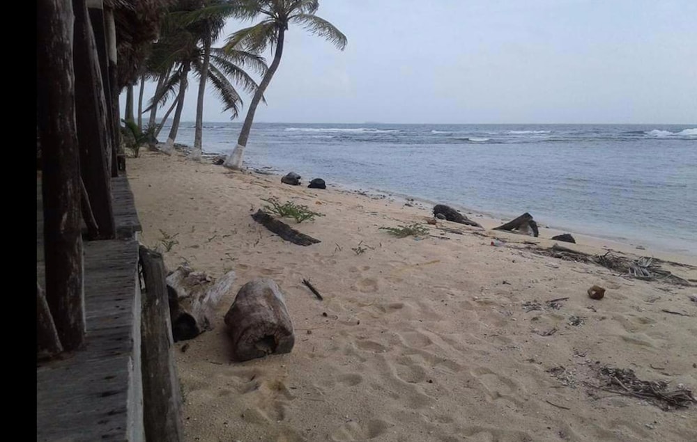 Tent photo 2