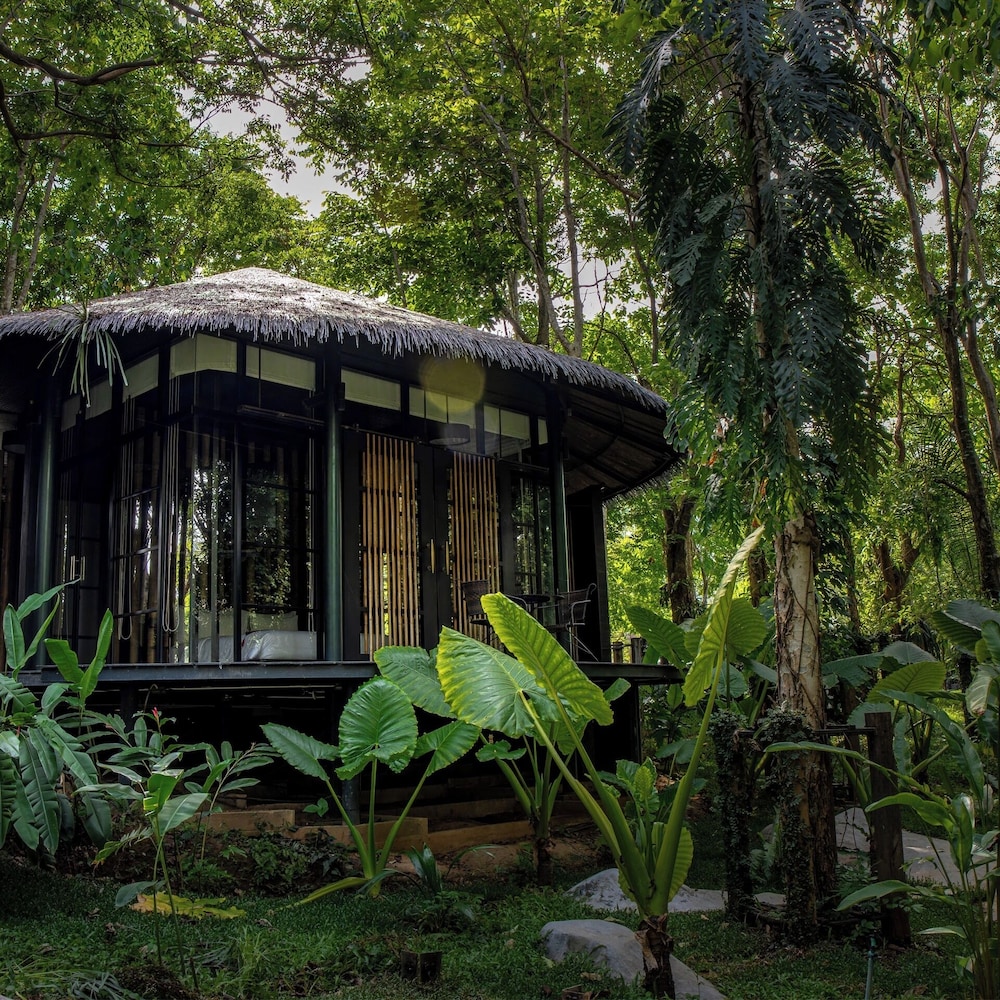The Jungle Room