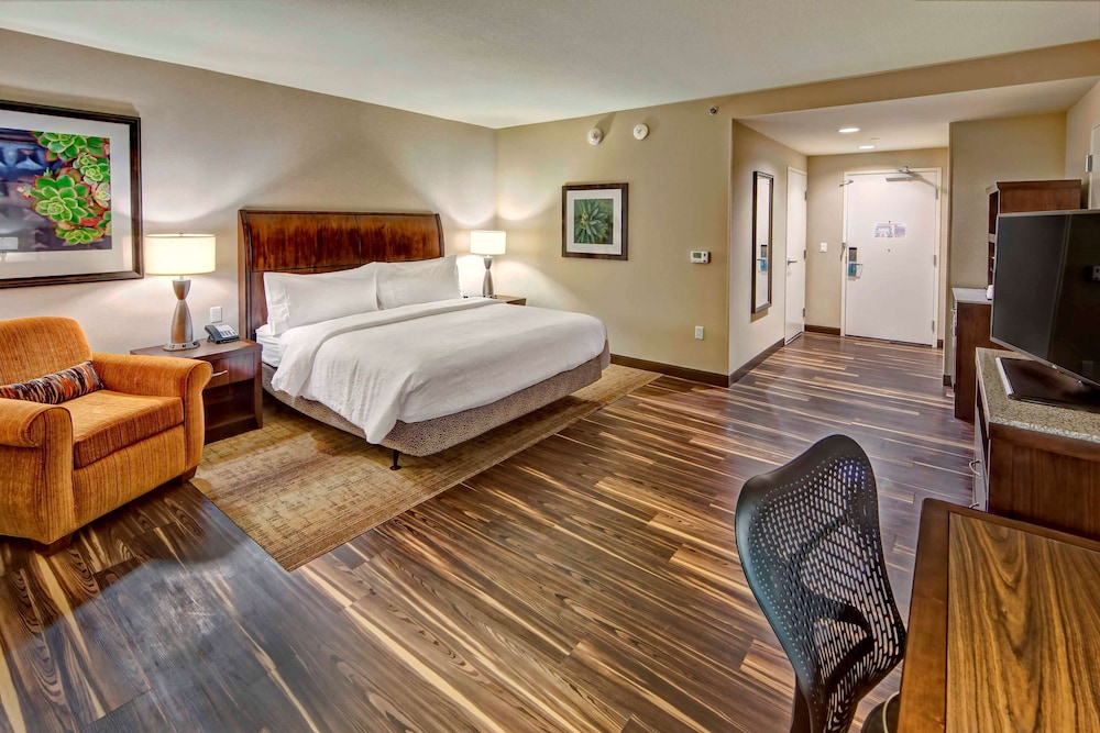 ADA Accessible, Room, 1 King Bed, Accessible, Bathtub (Mobility & Hearing)