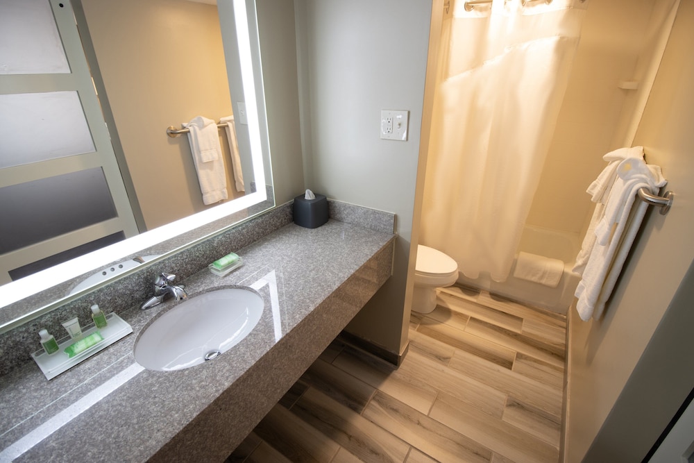 Suite, 1 King Bed (Additional Living Area) - Photo 9