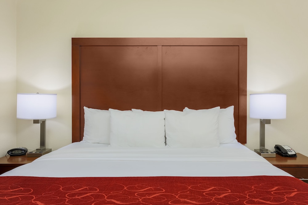Room, Multiple Beds, Non Smoking photo 3